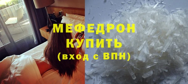 прущие грибы Новозыбков