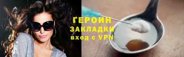 прущие грибы Новозыбков