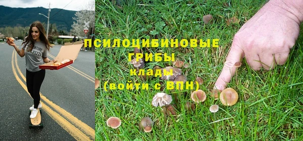 твердый Нефтекумск
