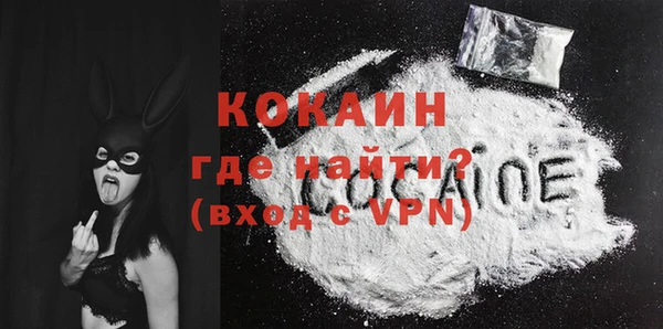 прущие грибы Новозыбков