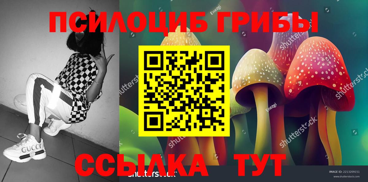 Галлюциногенные грибы Cubensis Ипатово