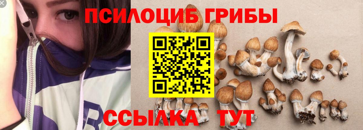 Ипатово  Галлюциногенные грибы Cubensis  Вход с VPN  Галлюциногенные грибы мицелий 